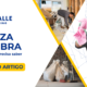 limpeza pós obra